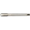 MACHO MAQUINA HSS-E DIN 2182 BSW WHITWORTH PARA AGUJEROS PASANTES 5/16-18