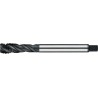 MACHO MAQUINA HSS-E DIN 376 METRICA. VAPORIZADA. ACERO INOX PARA AGUJEROS CIEGOS M10