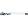 MACHO MAQUINA HSS-E PM DIN 376 METRICA. VAPORIZADA. ALEADOS DE TITANO Y NIQUEL PARA AGUJEROS CIEGOS M12