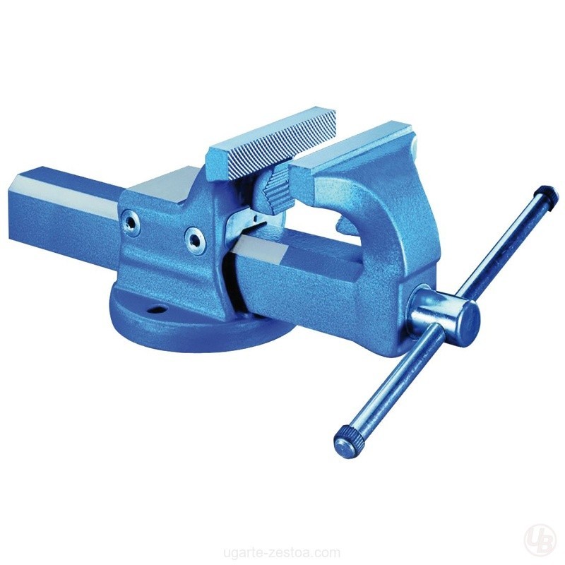 TORNILLO DE BANCO FORTISSIMOFIX DE 125 MM