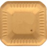 PLAQUITA CARBURO SEKR 1203 AFSN PI20 HC-P35M
