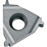 PLAQUITA PARA ROSCAR TRAPECIO CARBURO PERFIL COMPLETO. EXTERIOR 16ER 2.0TR UI20